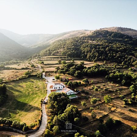 Tenuta Bianca Agriresort Sanza Экстерьер фото